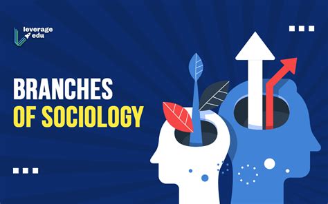💐 Scope And Importance Of Sociology What Are The Important Scopes Of
