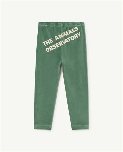The Animals Observatory Velvet Camaleon Kids Pants Green Dreams Of