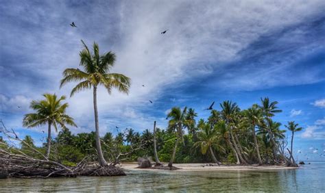 4 Breathtaking Tropical Paradises in Polynesia | Tropical paradise, Tropical islands ...