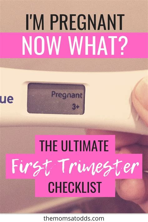 Im Pregnant Now What The Best First Trimester Checklist