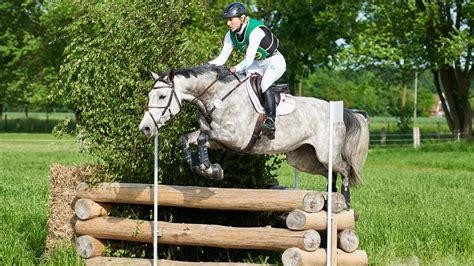 Cross Country Jumping With Horses Endurance Skill And Agility