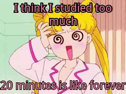 Studying Studying Sailor Moon Ecards Memes E Cards Meme Study Sailor Moons Studio