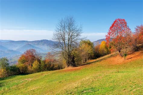 Sunny Forenoon In Autumn In Mountains Stock Photo Image Of Colorful