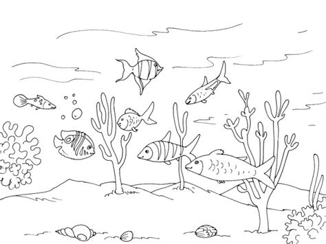 Voir plus d'idées sur le thème bord de mer, art de poissons, mouton dessin. Coloriage Mer gratuit à imprimer liste 40 à 60