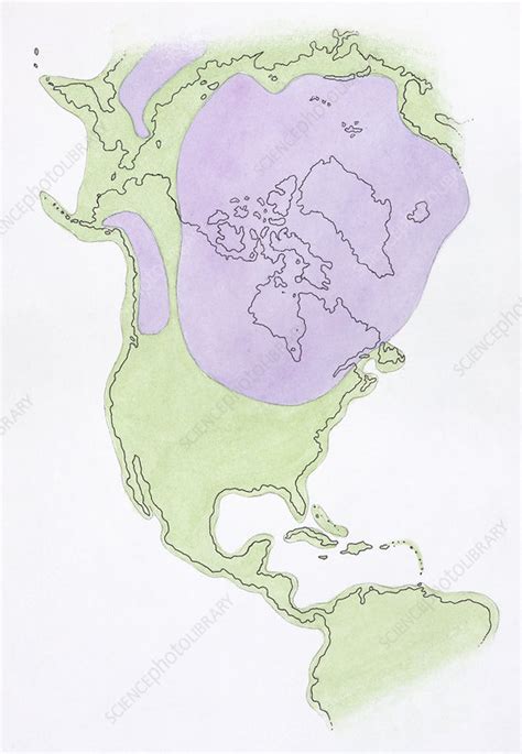 First Human Migration From Siberia To North America Map Stock Image C052 5412 Science