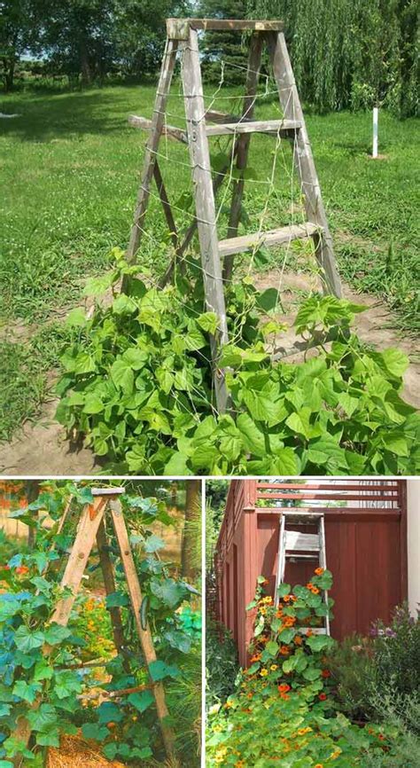 How to build & tips for growing. 12 DIY Recycled Garden Trellis Ideas