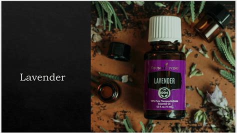 A Brief Introduction To Lavender Youtube