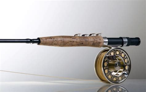 Best Fly Rods Under Buyer S Guide Into Fly Fishing
