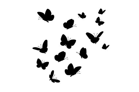 Flying Butterflies Silhouettes 889188