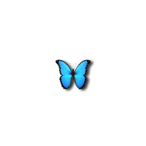 Butterfly Emoji Sticker My Xxx Hot Girl