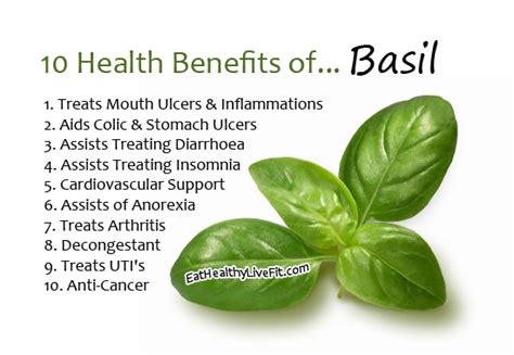 10 Health Benefit Of Basil Eating Healthy Living Fit