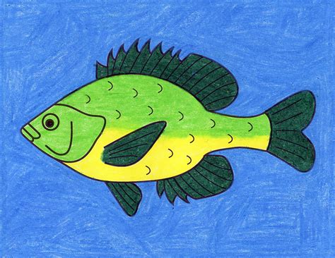 How To Draw Fish For Kids Easy This Is A Simple Lesson Designed For