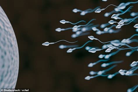 The Male Fertility Crisis Continues Quality Of Sperm Plummets Daily