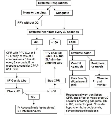 Ac26 Neonatal Resus Algorithm Neonatal Field Guide