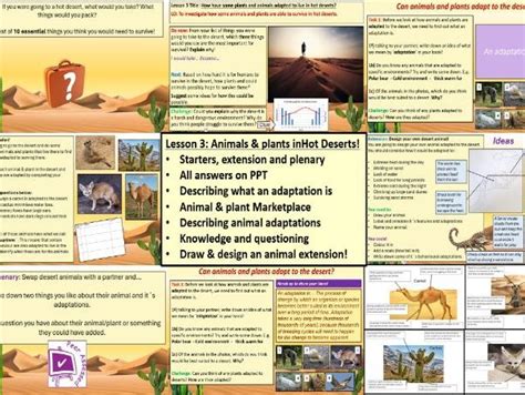 Ks3 Geography Hot Deserts Animals And Plants Adapted To The Hot
