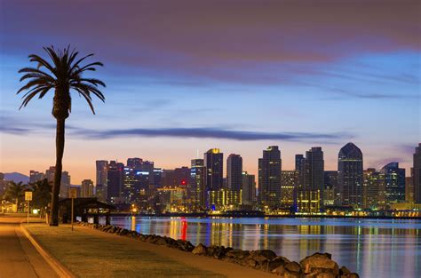 San Diego Downtown Skyline And Palm Tree At Dawn Kpi Logistics