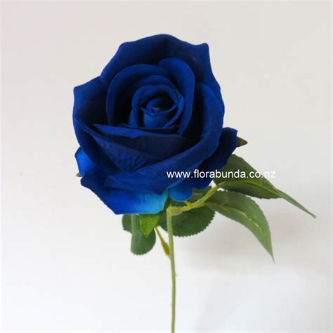Blue Rose Bud Long Stem Florabunda