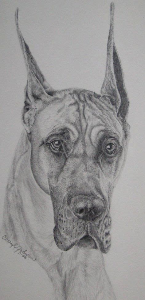 If you draw an animal using a how2drawanimals tutorial, email it to admin@ seinestudiosdotcom so we can feature it on the website! Great Dane - Art From the Heart | Animal paintings, Dog art, Puppy sketch