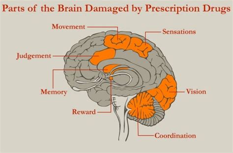 Healing The Addicted Brain Chat 2 Recovery