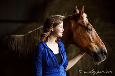 Equestrian Portrait Photography Shelley Paulson Photography Equine