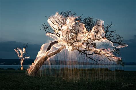 Light Appears To Drip From Trees In These Long Exposure Photos By Vitor