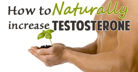 How to increase testosterone levels naturally. Best Way to Boost Testosterone Levels Naturally • Health ...