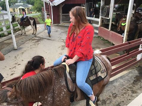 Five Oaks Riding Stables Sevierville All You Need To Know Before You Go
