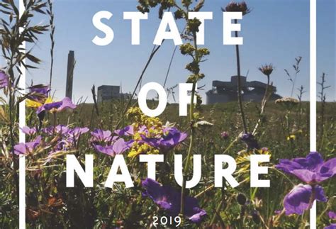 State Of Nature Report 2019 Bristol Natural History Consortium