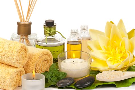 natural fragrance ingredients market analysis by capital investment industry outlook growth
