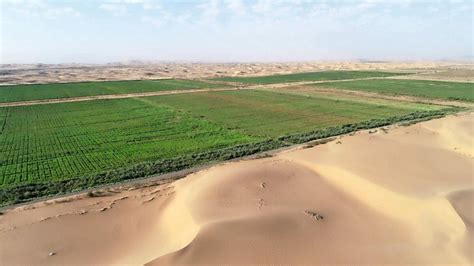 Turning Deserts Into Oases News Khaleej Times