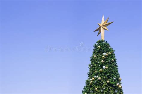 Big Christmas Tree With The Star Stock Photo Image Of Boats Boat