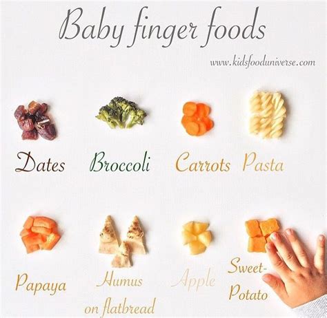 At 8 months old babies have usually tried a few different foods and probably found their favorites. baby finger foods | Baby food recipes, Baby finger foods ...
