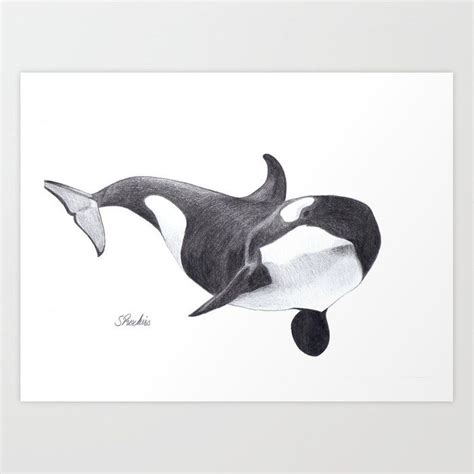 Orca Whale Art Print By Sara Huszak Art And Design Whale Art Orca