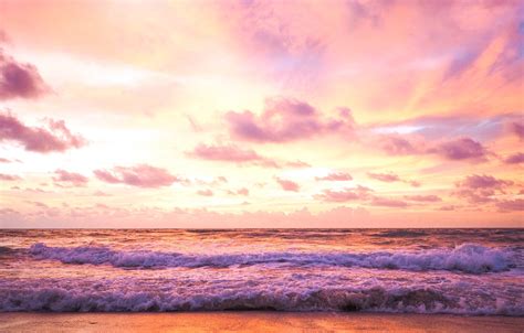 Ocean Sunset Pink Beach Wallpaper Encrypted Tbn0 Gstatic Com