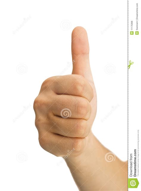 Thumbs Up Stock Photo Image Of Caucasian Thumb Positivity 11175368