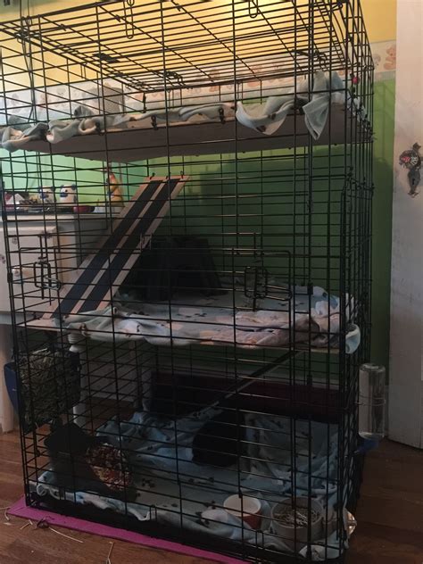 Rabbit Cage For Cheap Using Large Dog Crate Bought Dog Create Online