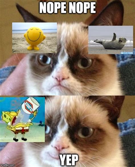 Grumpy Cat Meme Nope Alison Handley