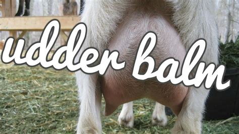 How To Make Udder Balm For Goats Youtube