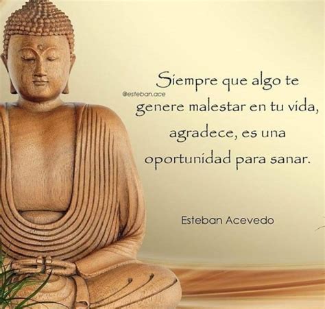 Frases Con Pensamientos Budistas Para Publicar En Pinterest Frases De