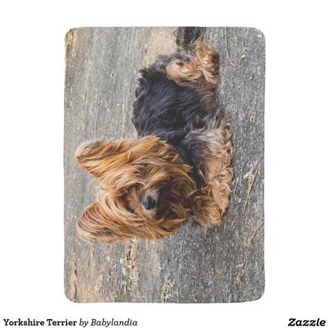 Yorkshire Terrier Swaddle Blanket (With images) | Yorkshire terrier, Terrier, Yorkshire terrier dog