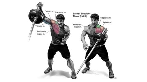 Best Landmine Press Guide Muscles Worked Benefits And Variations