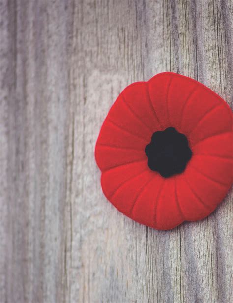 City Honours Veterans At Remembrance Day Ceremony The Chestermere Anchor