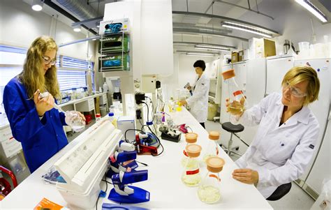 Molecular biology laboratory - SINTEF