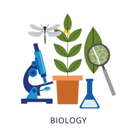 Biology Class Illustrations Royalty Free Vector Graphics And Clip Art