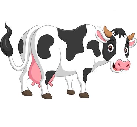 Cute Cow Free Vectors Stock Photos And Psd