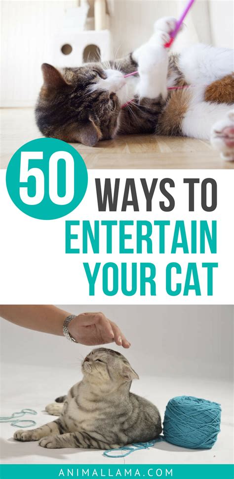 50 Ways To Entertain Your Cat Free Pdf Printable Meows N Paws