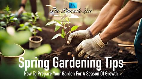 Spring Gardening Tips How To Prepare Your Garden For A Season Of