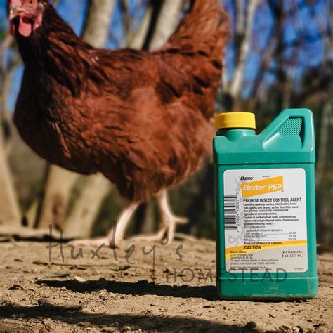 Elector Psp 9ml Lice And Mite Treatment For Chickens Huxleys