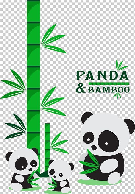 Giant Panda Green Bamboo Illustration Png Clipart Adobe Illustrator