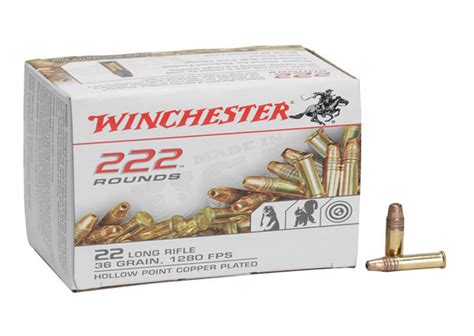 What Are The Most Powerful 22lr Ammunition Outdoor Limited